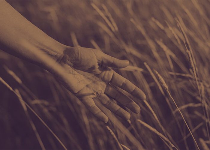 Unraveling the Environmental Impact of Fast Fashion